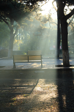 Park benchesの写真素材
