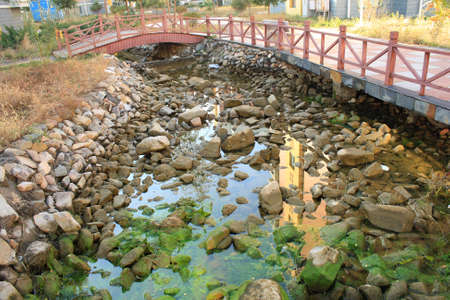 Chinese gardenの写真素材