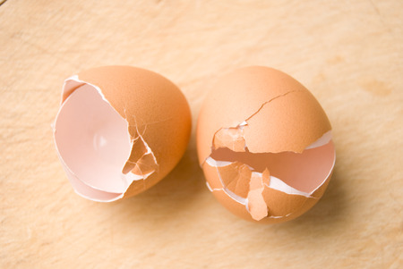 eggshell