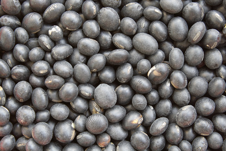 Black beansの写真素材