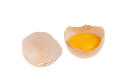 Eggs on a white background