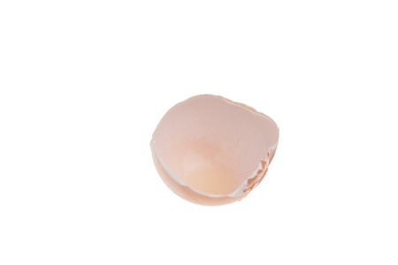 Egg shell