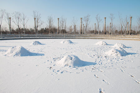 Snowdrift