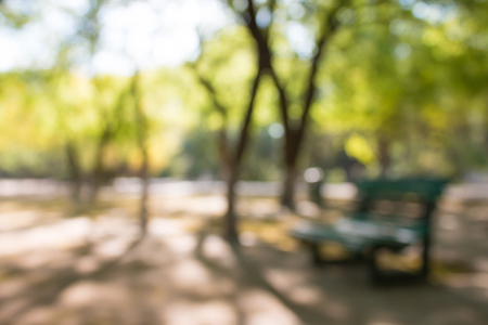 Fuzzy forests, defocused backgroundの写真素材