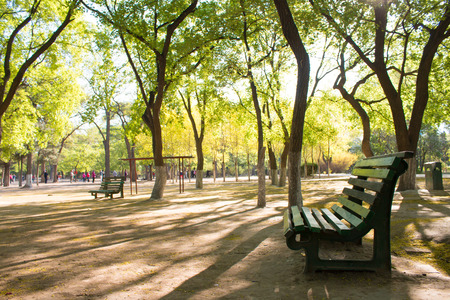 Spring Parkの写真素材