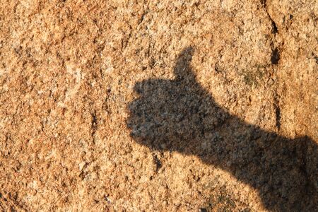 Hand shadow on stoneの写真素材