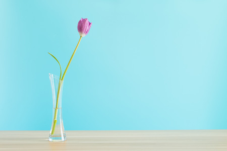 Purple tulips in a vase