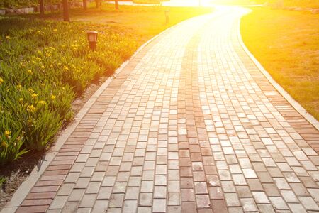 Park sidewalkの写真素材