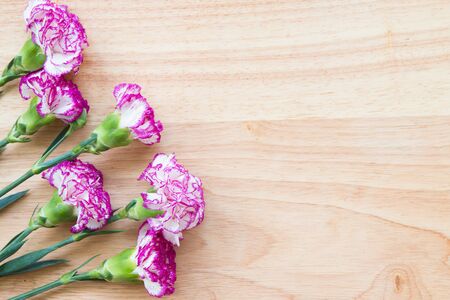 Pink carnations on wooden backgroundの写真素材
