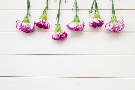 Pink carnations on wooden backgroundの写真素材