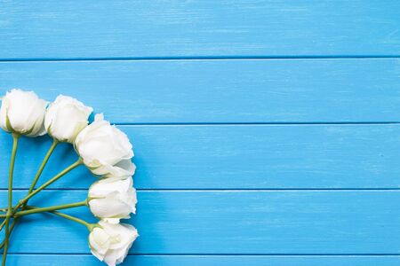 White roses on a blue boardの写真素材