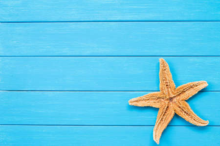 Starfish on a blue wooden backgroundの写真素材