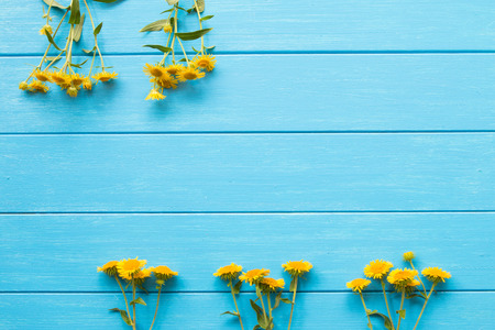 Yellow daisy on a blue boardの写真素材