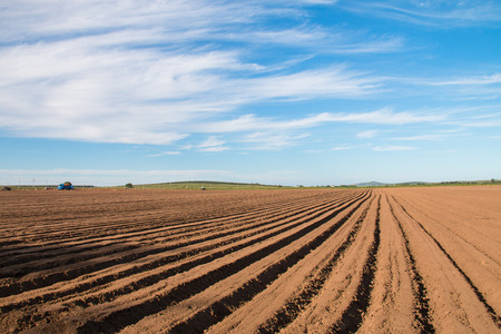 Spring farmlandのeditorial素材