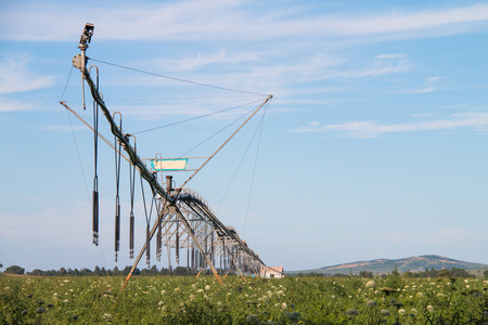 automatic irrigation system at Farmlandのeditorial素材