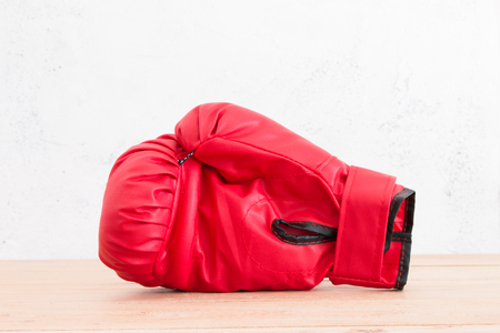 Boxing gloves in the woodの写真素材