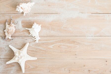Starfish on board