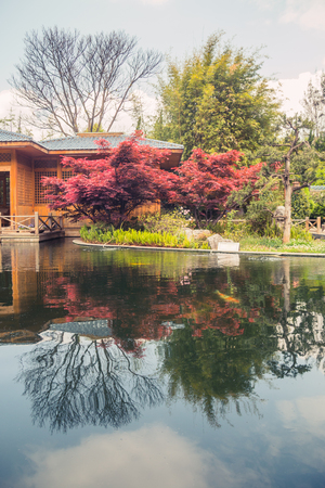 Garden in Kunming, Yunnan, Chinaのeditorial素材