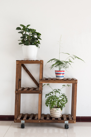 Flower stand indoorsの写真素材