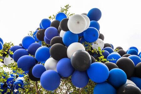 Balloons hanging from the treeの写真素材