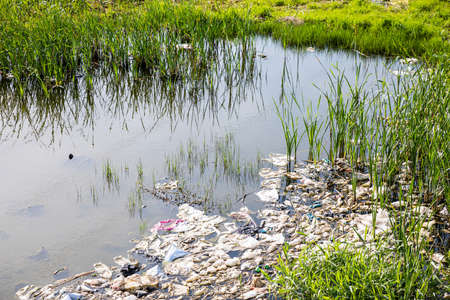 Wetland polluted by white garbageの写真素材