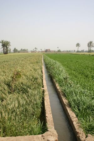 Farmlandの写真素材