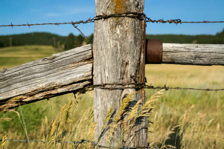 Rustic Barbed Wire Fenceの写真素材