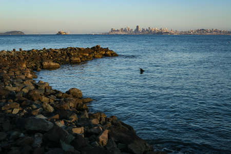 Looking at San Francisco from across the bayの写真素材