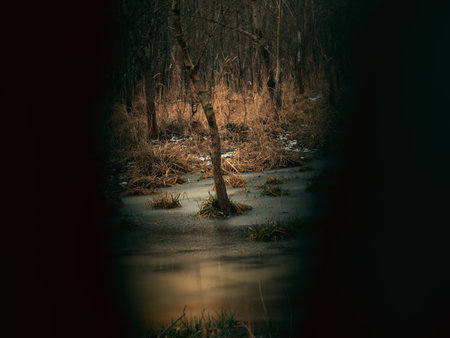 winter landscape with frozen river and trees in frosty day.の写真素材