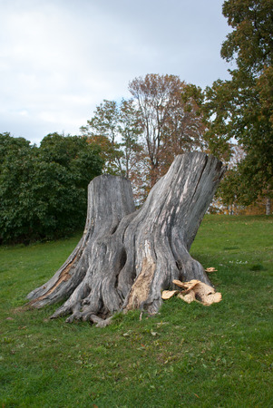 Suomenlinna Island. History. Stump.の写真素材