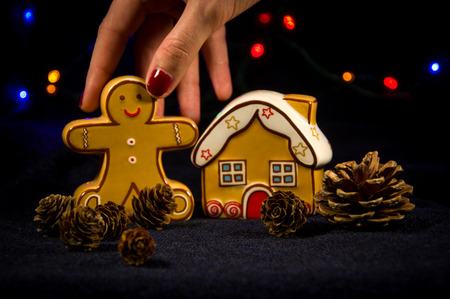 Christmas salt and pepper shakers. Ginger man and ginger house.