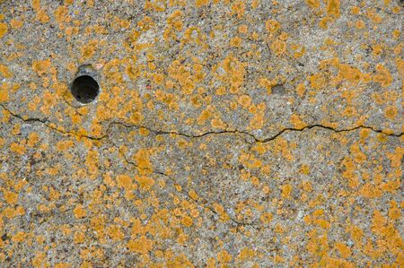 Abstract stone background, covered with yellow moss, with a crack and a holeの写真素材