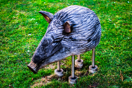 Wood Pig on playground in parkの写真素材