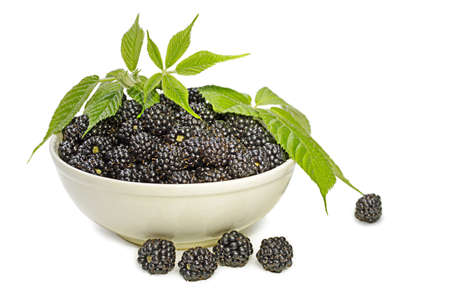 full bowl of blackberries decorated with foliage