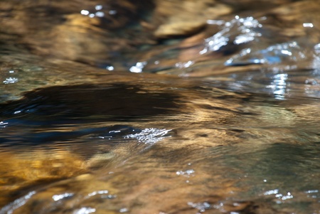 fine texture of the autumn river