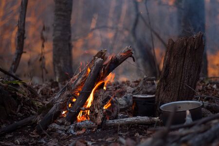 warm cozy bonfire in forest, campfireの写真素材