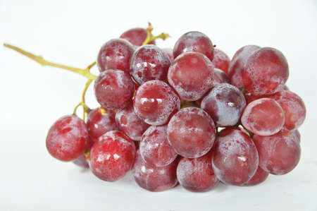 grapeの写真素材