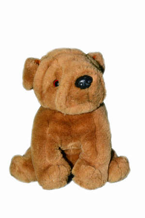 Puppy Doll