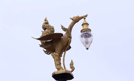 swanのeditorial素材