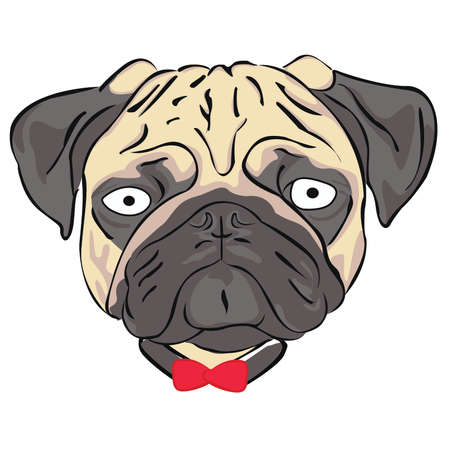 Pug Dogのイラスト素材