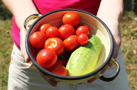 Woman holds bowl with tomatoes and cucumberの写真素材