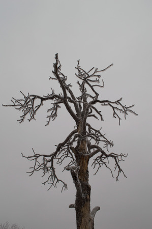 Winter landscape in Palmer Park, Colorado Springs,