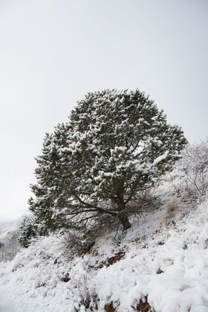 Red Rock Canyon after a fresh snowfall