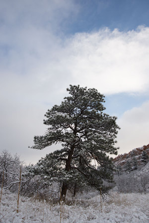 Red Rock Canyon after a fresh snowfallの写真素材