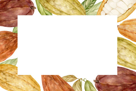 Ripe assorted cocoa beans in a rectangular frame. Watercolor illustrations are hand drawn and isolated.の写真素材
