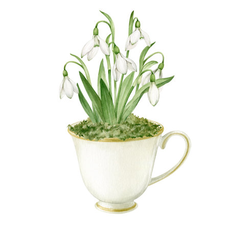 White cup with flowers watercolor illustrationの写真素材