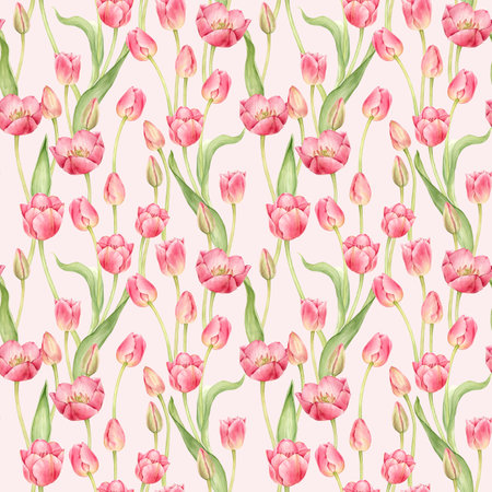 Pink tulips in a seamless pattern. Spring flowers in a complex pattern for textiles and packaging. Watercolor illustration is hand drawn and isolated from the backgroundの写真素材