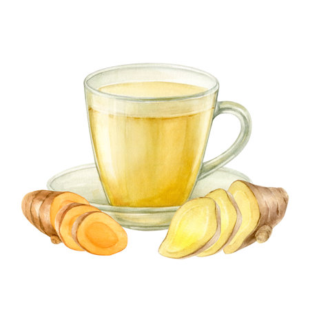 Drink with ginger and turmeric in a glass cup and saucer. Watercolor illustration is hand drawn and isolated from the background. For design of packaging, menus, recipesの写真素材