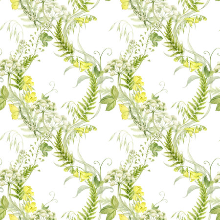 Wild flowers and herbs, ferns, sweet peas, white and yellow wild flowers in a seamless pattern. Pattern with summer flowers. Watercolor illustration hand drawn and isolated on a white background.の写真素材