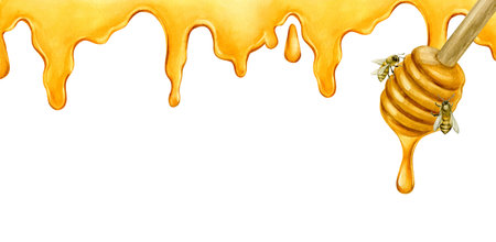 Border or banner with dripping honey, bees and honey dripper with space for text. Watercolor illustration isolated from backgroundの写真素材